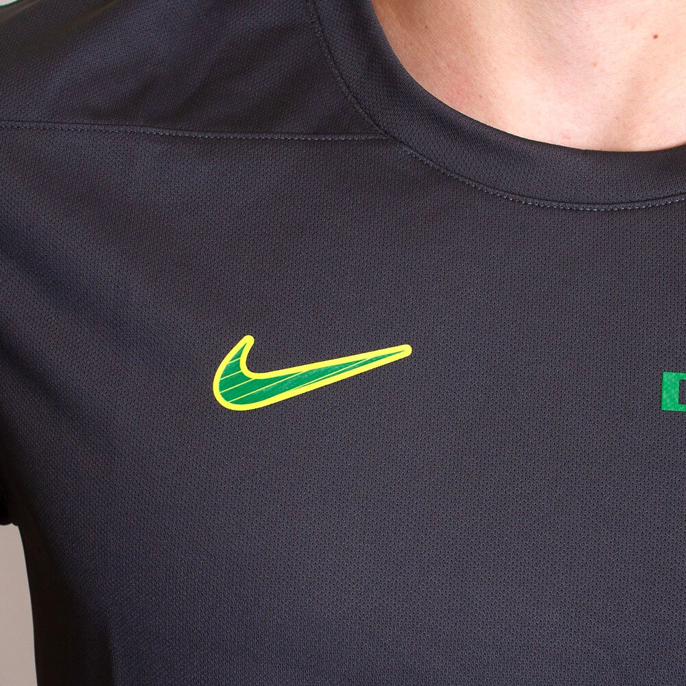 Ducks, Nike, Grey, Crew Neck, Performance/Dri-FIT, Men, Football, UV protection, Coaches, T-Shirt, 793383